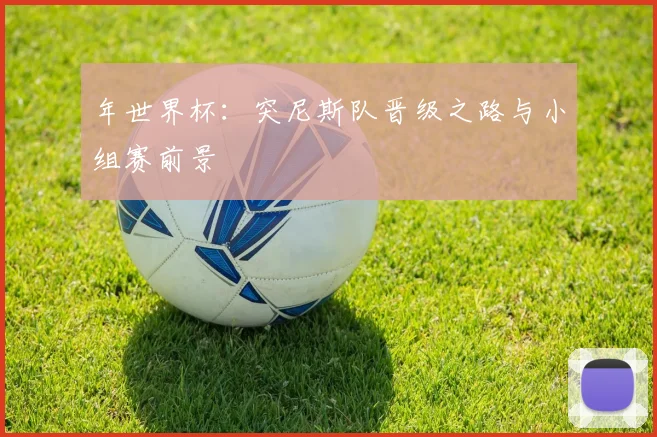 年世界杯:突尼斯队晋级之路与小组赛前景