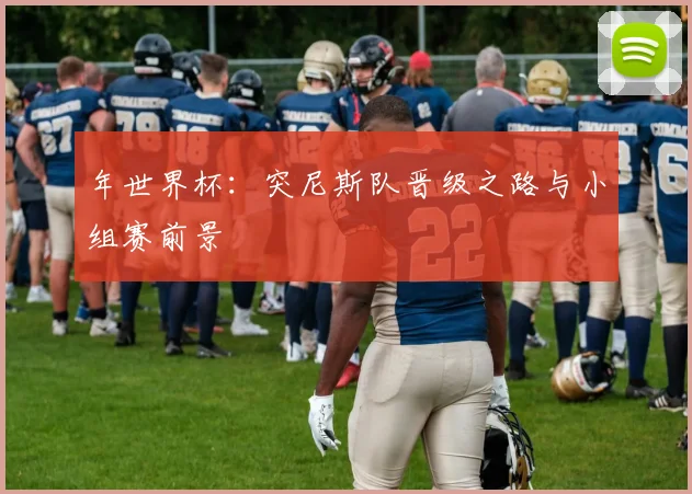 年世界杯：突尼斯队晋级之路与小组赛前景